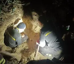 Mila  resta incastrata in una tana: ore di scavi per liberarla