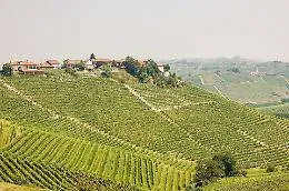 Paesaggi vitivinicoli Unesco, alla BIT di Milano il nuovo piano per il futuro del territorio
