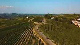 Il Monferrato fa squadra: i Consorzi del nostro territorio siglano il patto per il futuro