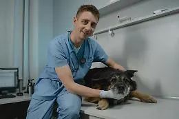 Fumata nera e "pollice verso" per un pronto soccorso veterinario: per l'amministrazione comunale &egrave; troppo costoso