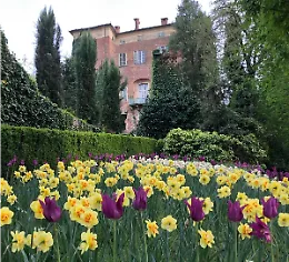 "Narciso Incantato" al Castello di Piea: oltre 15.000 bulbose in fiore ed eventi in costume 