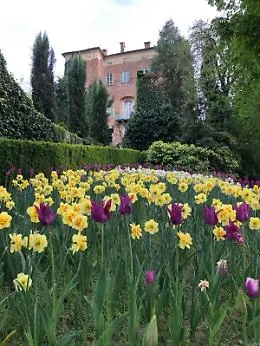Narciso incantato al Castello di Piea