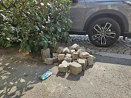 Porfido "saltato" e siepi diventate discariche, Ambiente Asti interpella su corso Torino
