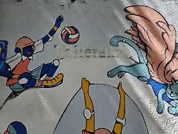 Cancellate le parole "Uguaglianza" e "Tolleranza" dal nuovo murale dei popoli di via del Bosco