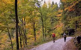 Passeggiando tra i Casot d'la Ruchetta 