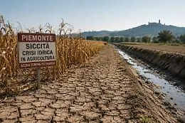 Agricoltura e siccit&agrave;: &laquo;La Regione Piemonte non ha idee su un uso sostenibile della risorsa idrica&raquo;
