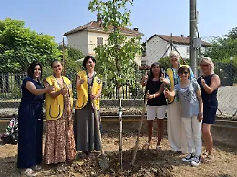 Il Lions Club Asti Alfieri dona un albero al centro diurno socio terapeutico riabilitativo comunale &ldquo;Santo Spirito&rdquo;