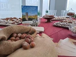 L'eccellenza della Tonda Gentile alla 72&ordf; Fiera Nazionale della Nocciola di Cortemilia