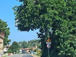 Indovina dove sei? Cartello all'ingresso della citt&agrave; completamente nascosto dall'albero
