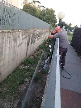 Ad Alba prosegue la lotta alle zanzare: monitoraggi, trattamenti e informazione ai cittadini