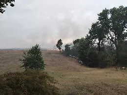 Vasto incendio a Valterza, bruciano 7 ettari di collina