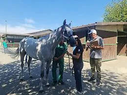 Palio di Asti, finite le visite veterinarie: stasera si entra nel vivo della passione