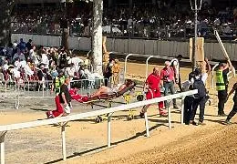 Il caldo colpisce duro al Palio: gi&agrave; una decina i malori in piazza e lungo la sfilata