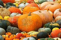 A Piea torna la Fiera Nazionale della Zucca delle Meraviglie