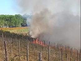 Va  a fuoco una vigna, intervento dell'elicottero dei Vigili del fuoco e squadre AIB