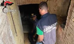 Il "lavoro di squadra" di un intero paese per scoprire lo sfruttamento degli schiavi delle vigne