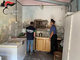 Braccianti romeni sfruttati: vivevano in 15 in una casa fatiscente, lavoravano per 2 euro l'ora e i "caporali" si tenevano i loro documenti