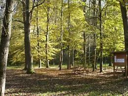 Il Parco Paleontologico investe sul futuro delle aree protette con cinque nuovi progetti 
