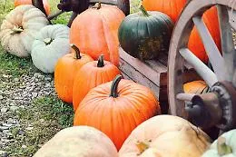 Cosa fare nel weekend ad Asti e in provincia