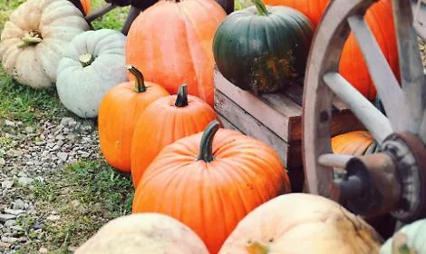 Cosa fare nel weekend ad Asti e in provincia