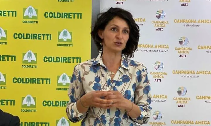 MONICA MONTICONE@