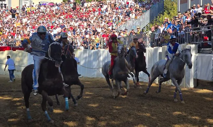 Palio di Asti: Cattedrale, Tanaro e San Silvestro sono i primi tre finalisti dopo una prima batteria infinita