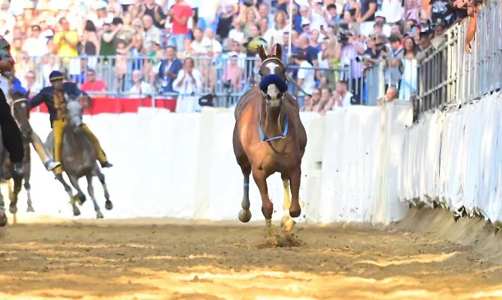 Palio di Asti, con il cavallo scosso si completa la rosa dei finalisti